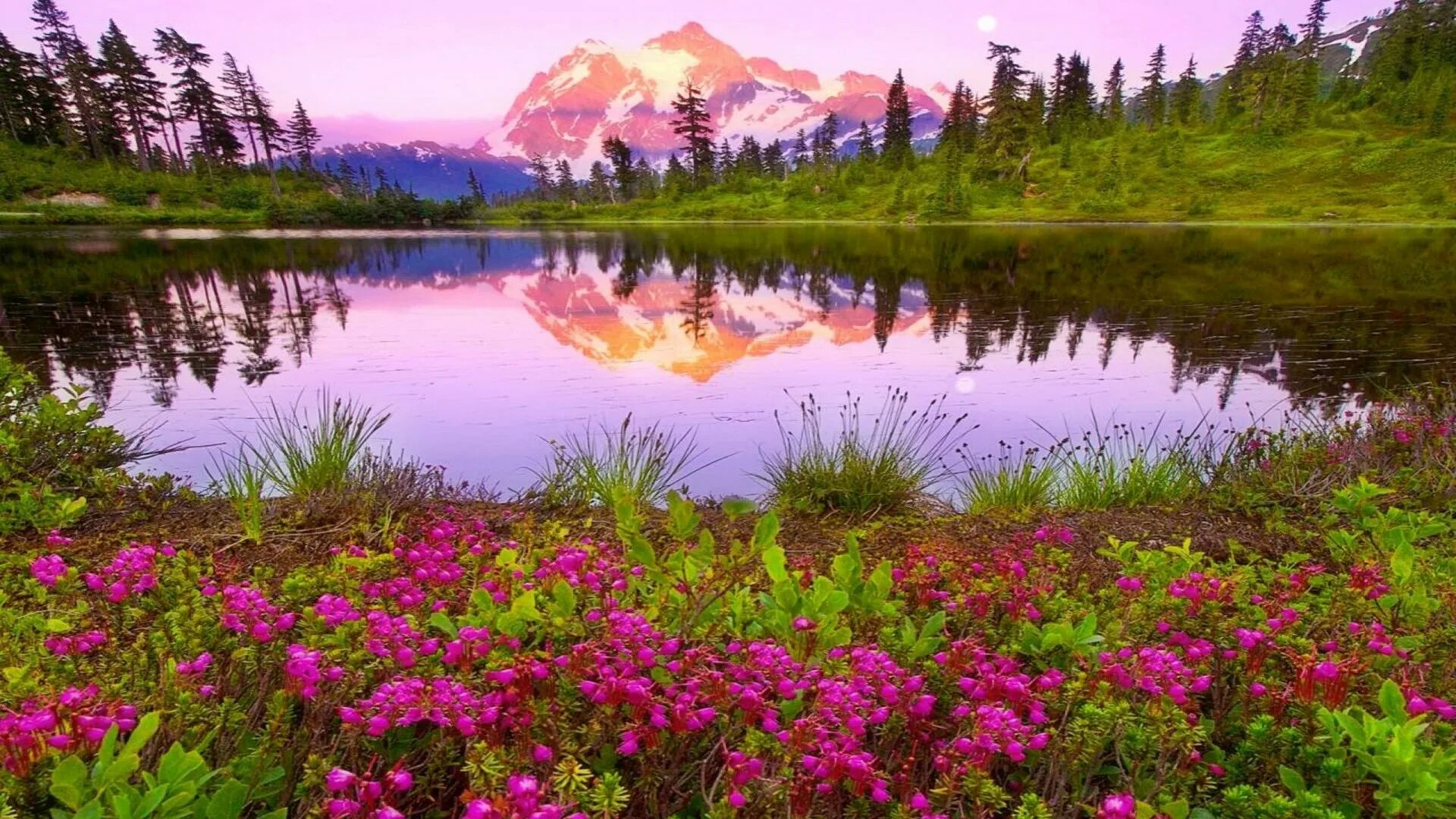 Красивая природа короткие