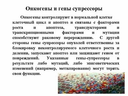 Биологическая роль генов