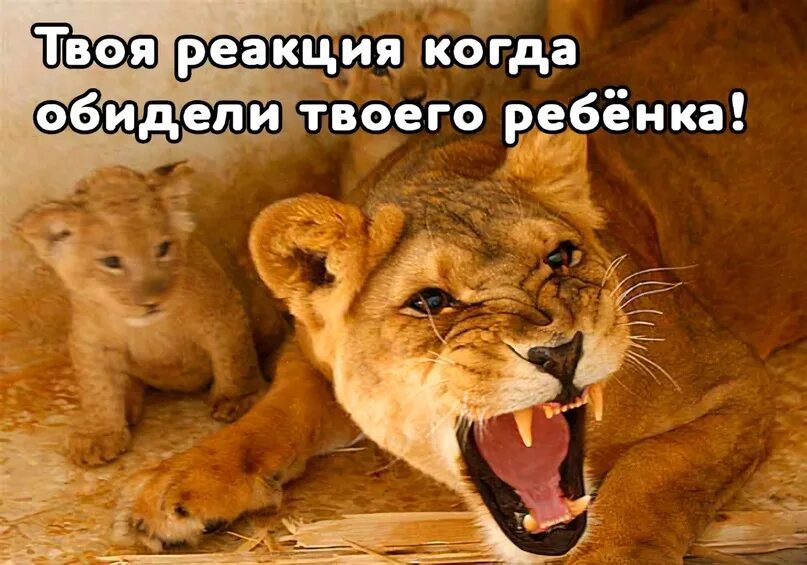 Если вас незаслуженно обидели вернитесь и заслужите. Моя никому не дам в обиду. Моя никому не дам в обиду. Барто вот так защитник. Моя никому не дам в обиду.