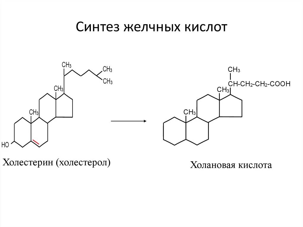 Формула холестерола. Схема синтеза желчных кислот. Синтез желчных кислот из холестерола. Ключевая реакция синтеза желчных кислот. Холестерол формула структурная биохимия.