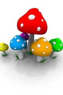 Mushroom 13