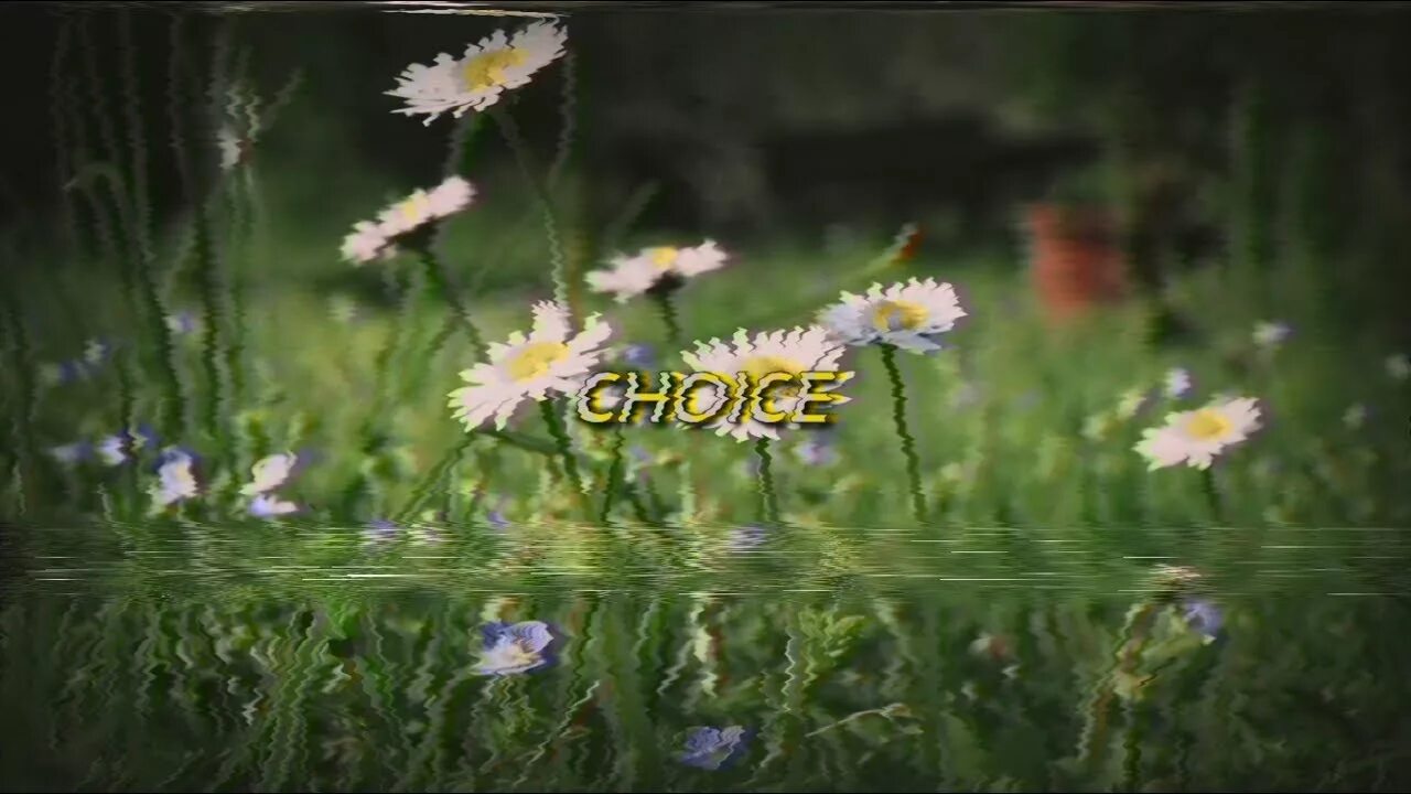 Choice extended edit. Choice джек стаубер. jack stauber choice. choice текст jack stauber.