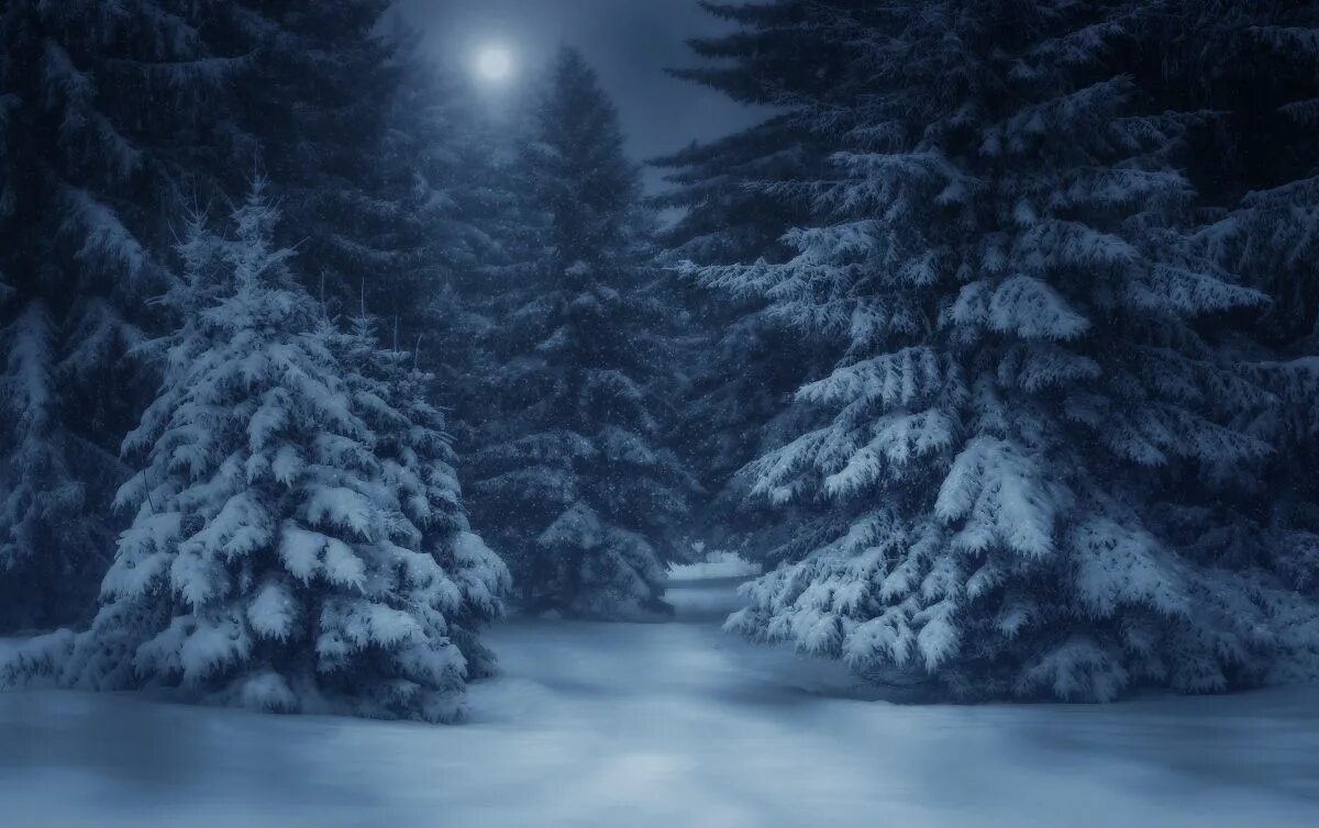 Спокойной ночи красивая зимняя ночь. Январская ночь. Спокойной ночи снег. Спокойной снежной ночи. Спокойной морозной ночи.