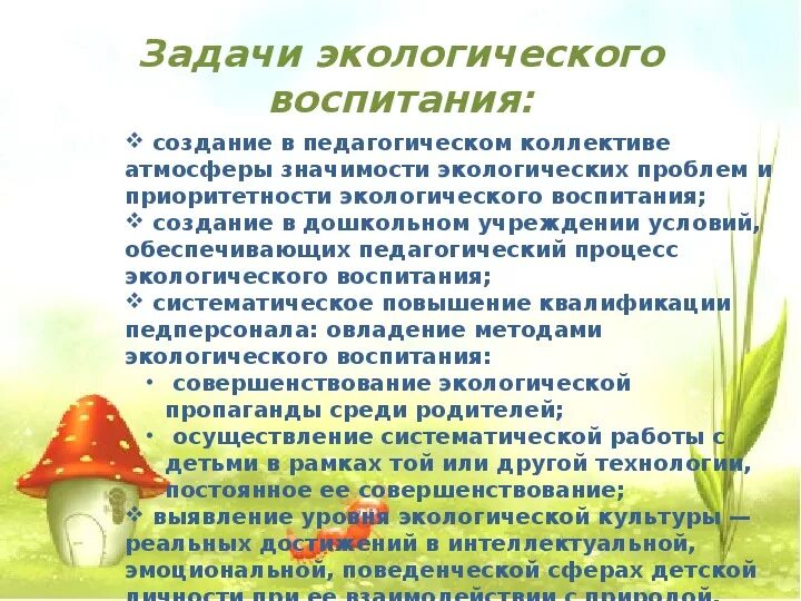 Создание условий для экологического воспитания детей. Задачи по экологическому воспитанию в ДОУ. Задачи экологического воспитания дошкольников. Задачи экологического воспитания в ДОУ. Цели и задачи экологического воспитания.