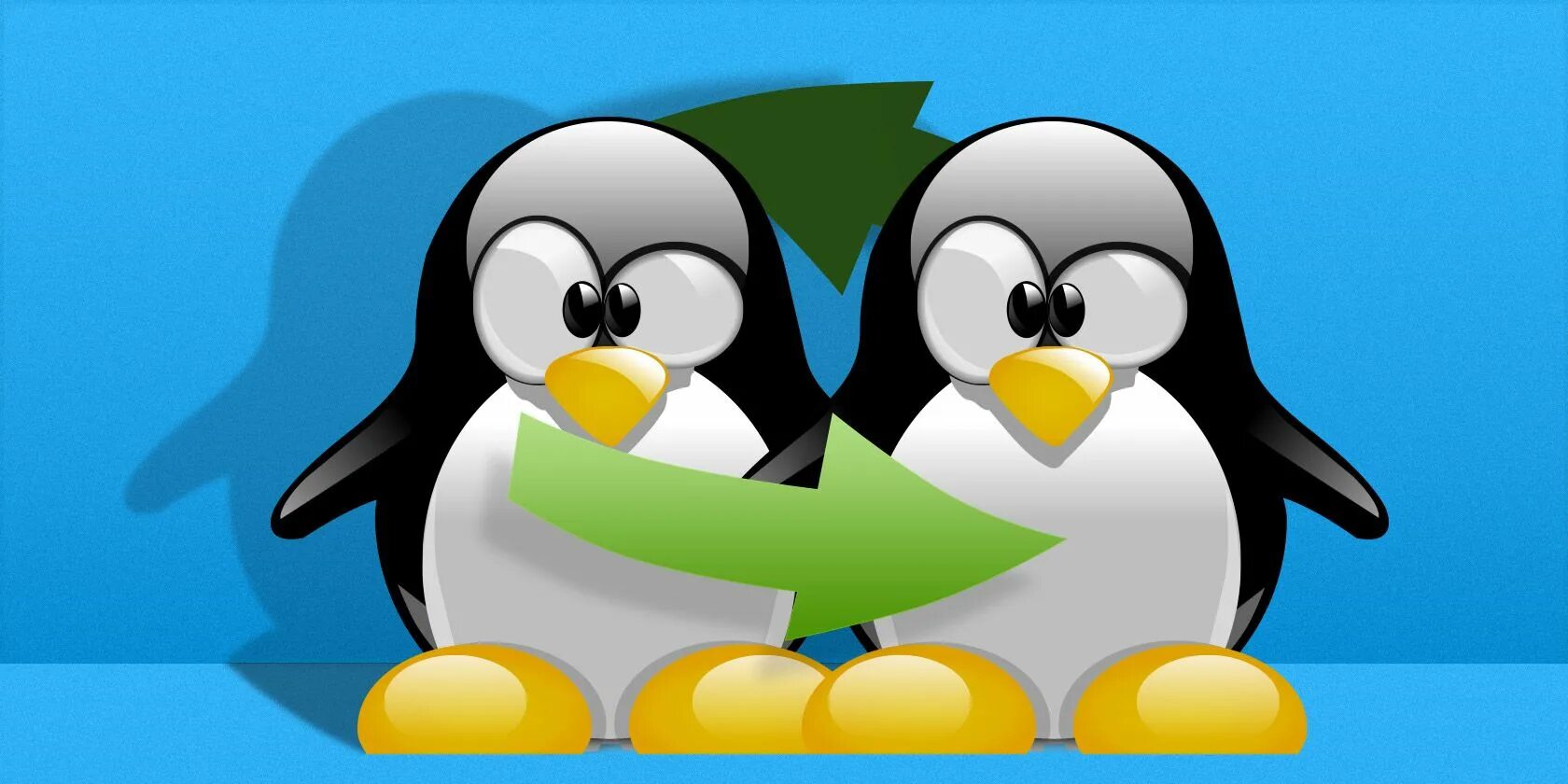 Swap linux. Linux swap. линуксоводы.