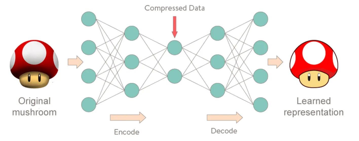 Neural network for detection