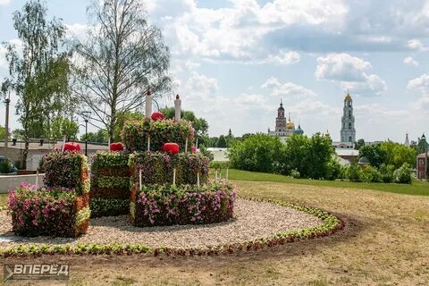 Цветы сергиев