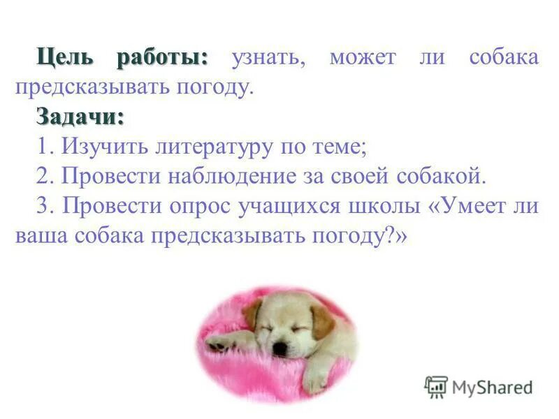 презентация 2 класс виды собак. роль собаки в жизни человека. собаки их роль в жизни человека. роль собаки в жизни человека. начало работы по изучению собак.