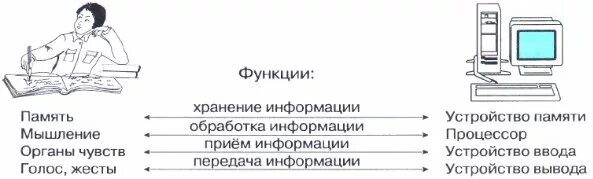 Значение функции компьютера. Аналогия между человеком и компьютером таблица. аналогия между человеком и компьютером. основные компоненты компьютера и их функции. основные функции компьютера и их функции.
