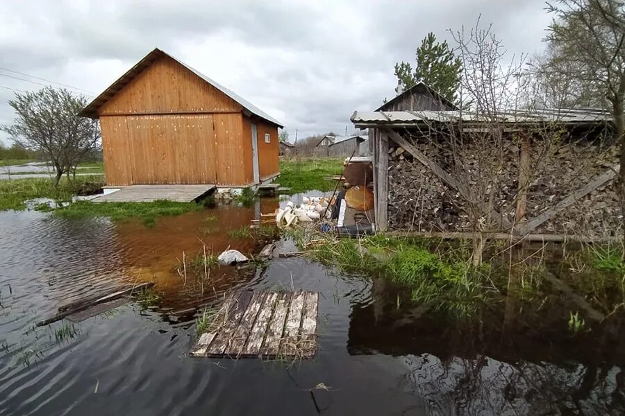 Уровень воды в зверинке на сегодня. Река Кубена Вологодская область. Река Кубена Сокольский район. Весенний паводок на реке Кубена Вологодская область. Паводок река Кубена.