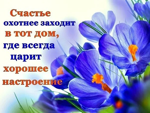 Счастье охотнее заходит в дом где всегда царит хорошее настроение. Счастье охотнее заходит. Счастье заходит в дом. Счастье охотнее заходит в тот дом. Песня охотнее