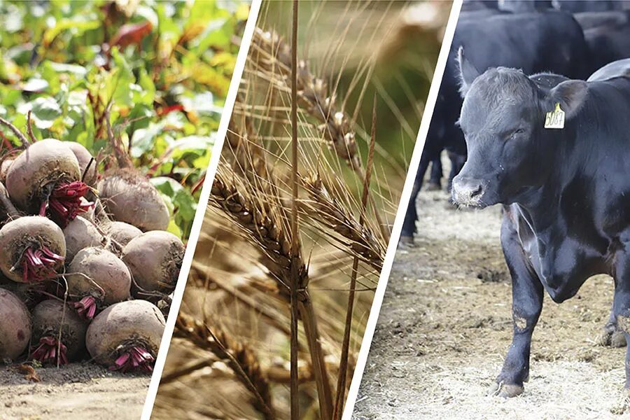 Байсерке красивые места. Байсерке улица аркабая. Алматы карта города. Байсерке красивые места. Алматы карта города.