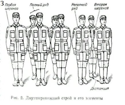 Двухшереножный Строй схема. Развернутый Строй отделения - двухшереножный. Схема строя военнослужащих. Развернутый двухшереножный Строй схема.