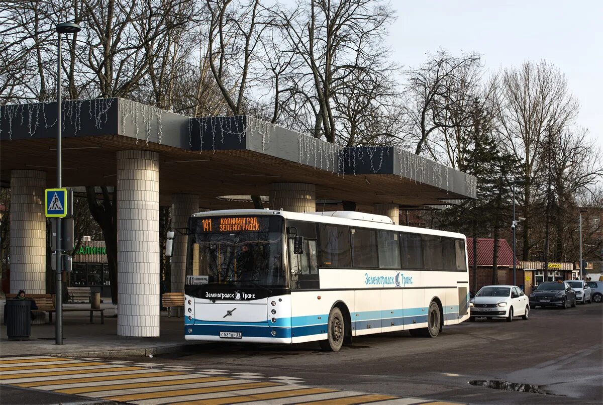 Автобус Vest contrast. Зеленоградск автовокзал. Vest contrast № 10 автобус. Vest contrast автобус междугородний.