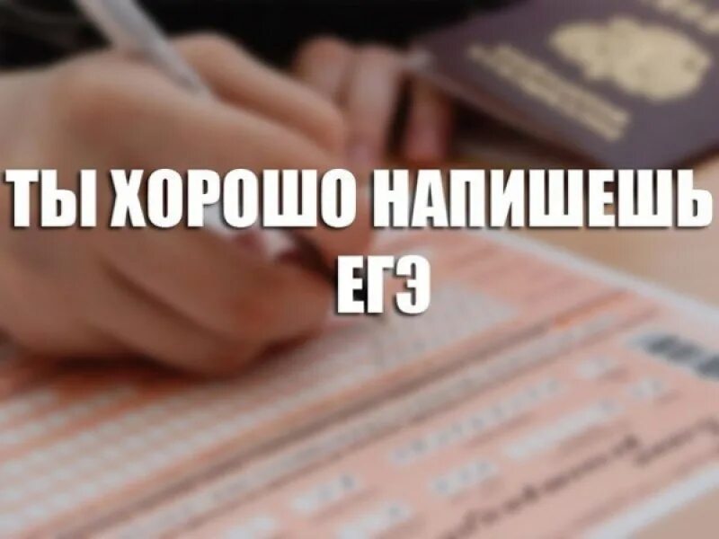 Сдать поддерживать. Смешные приколы про ЕГЭ. Шутки про ЕГЭ. ЕГЭ Веселые картинки. Шутки про ЕГЭ по русскому.