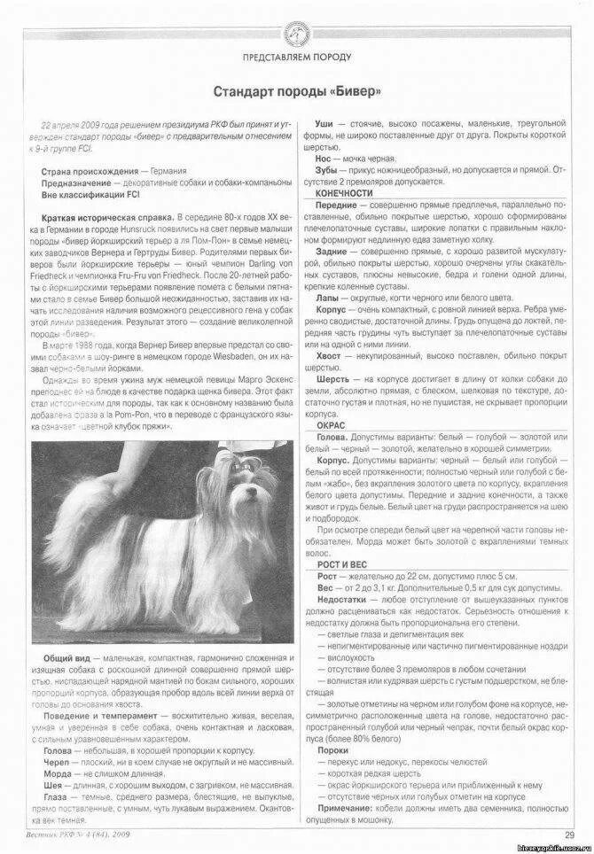 Рейтинг собак ркф по породам. Стандарты породы йоркширский терьер ркф вес. стандарт породы бивер йорк ркф. бивер терьер стандарт ркф. йорк бивер стандарт вес.