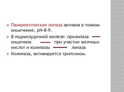Что такое липаза
