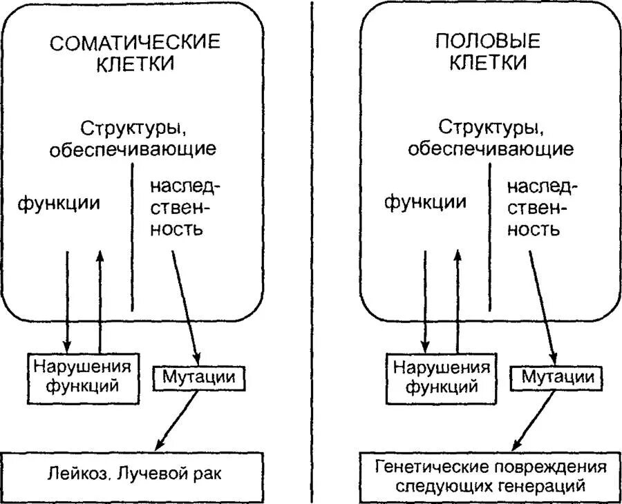 Действие ионизирующего излучения на клетку. Воздействие ионизирующего излучения. Влияние радиации на клетку. Влияние радиации на клетки человека. Радиация механизм