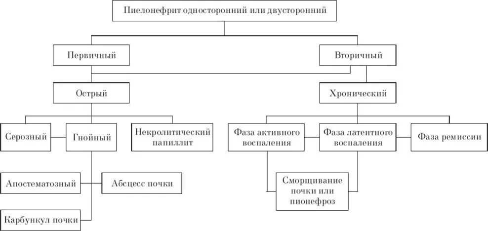 Острый пиелонефрит классификация. Классификация пиелонефрита Лопаткин. Хронический пиелонефрит классификация. Формы острого пиелонефрита.