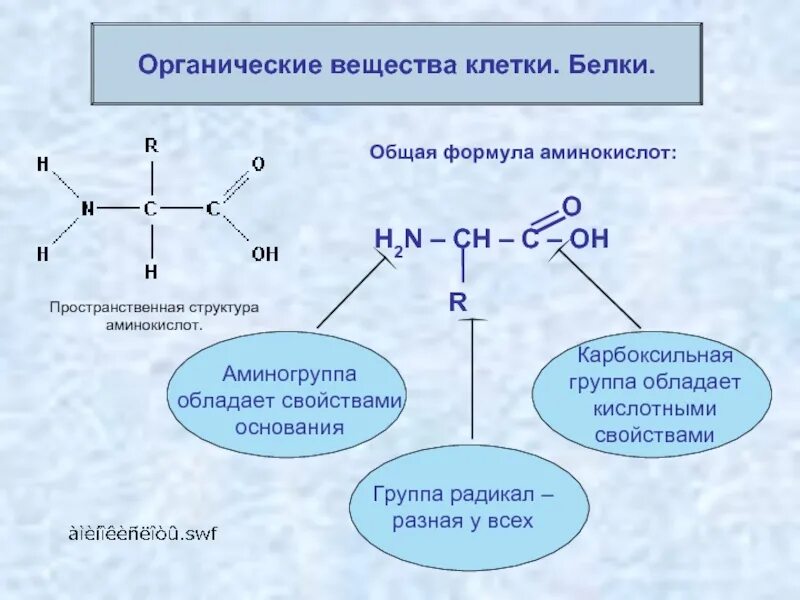 Примеры веществ белков. Органические соединения таблица белки. органические вещества белки строение структуры. органическая химия белки формула. классификации органических соединений белки.