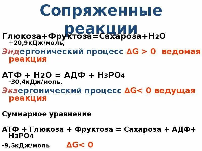 Атф н2о. Экзергонические реакции. Примеры экзергонических реакций. Экзергонические реакции в живой клетке. Экзергонические и эндергонические процессы.