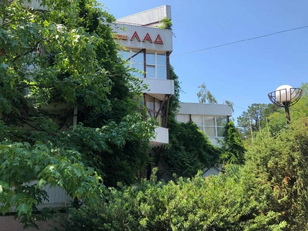 Ардис сочи