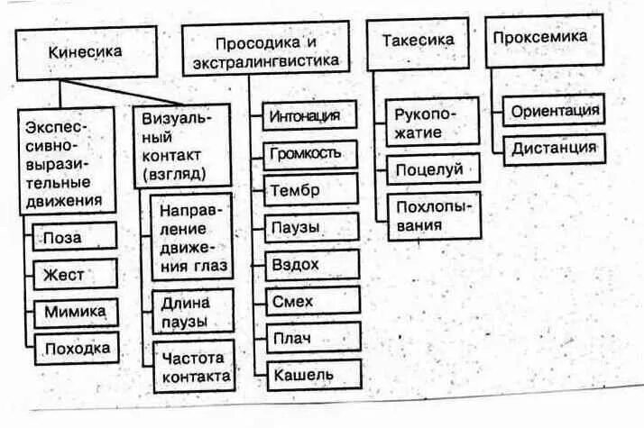 Просодика такесика. Просодика такесика. Проксемика и такесика. Невербальное общение в педагогике. Невербальные средства общения схема таблица.