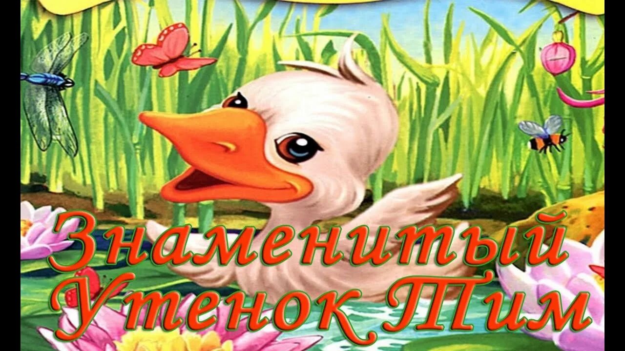 Гадкий утёнок тим. Сказка игра в птиц. Стихотворение тима собакина лунная сказка. Керолай чевис. Тим сказка слушать.