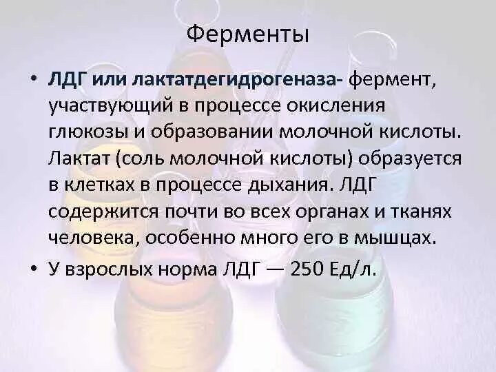 Лактат дегидрогеназы. Лактат дегидрогеназы