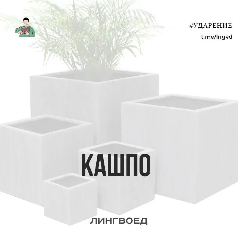 кашпо род. кашпо слова. горшок из текста. горшок гамма. горшочек с надписью.