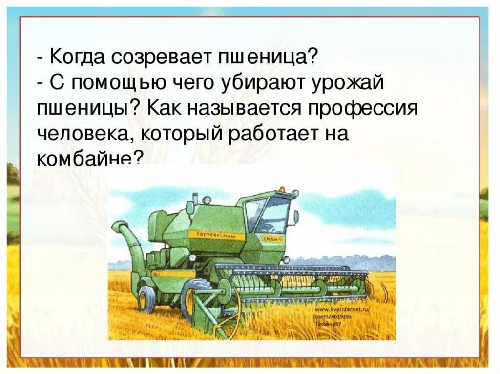 Занятие откуда хлеб пришел. Откуда к нам хлеб пришел для дошкольников. Профессия Хлебороб. Составление рассказа откуда хлеб пришел. Иллюстрации профессия Хлебороб.