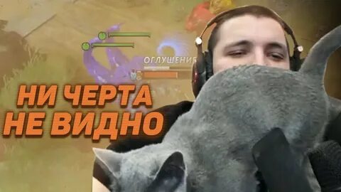 Кот леха