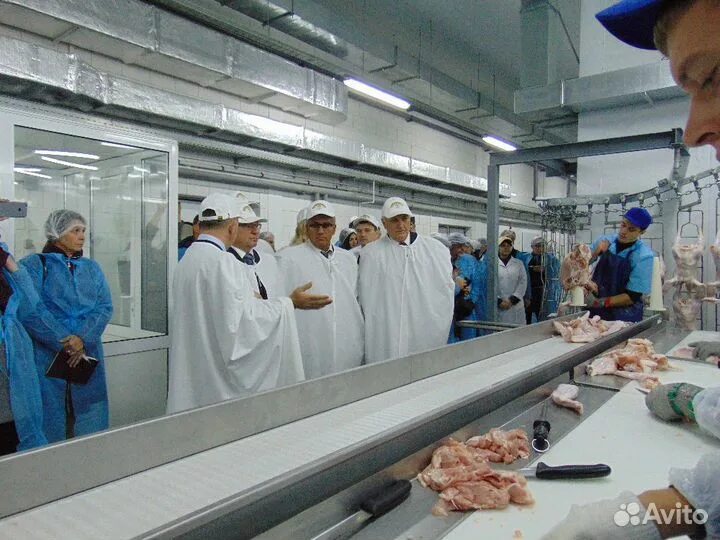 Птицефабрика яратель габишево. Вахта белгород. Колбасные изделия в цеху. Завод белая птица белгород. Работа вахтой.