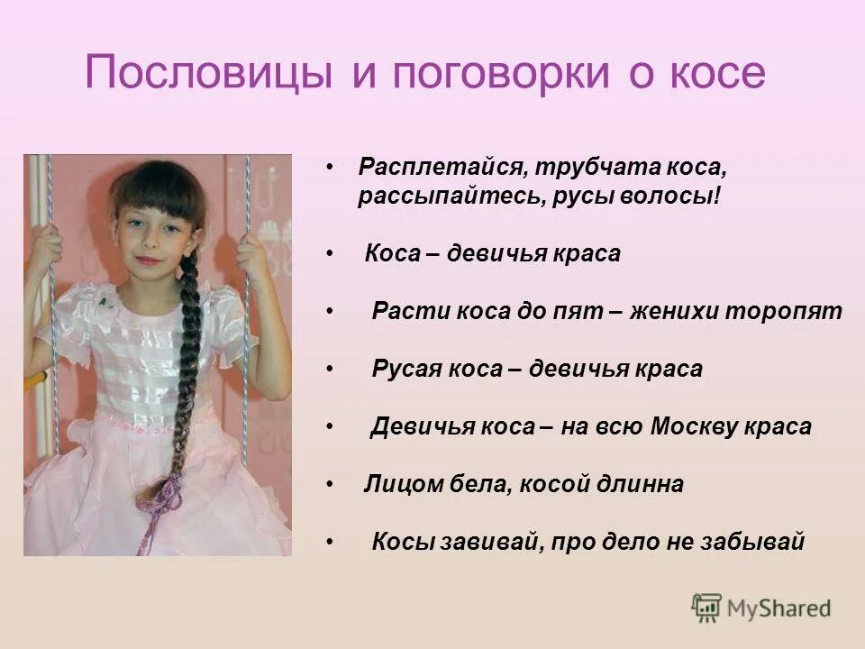 Девичья коса растение. Девицы красавицы стихи. Пословица про косу. Презентация на тему коса девичья краса. Коса девичья краса.