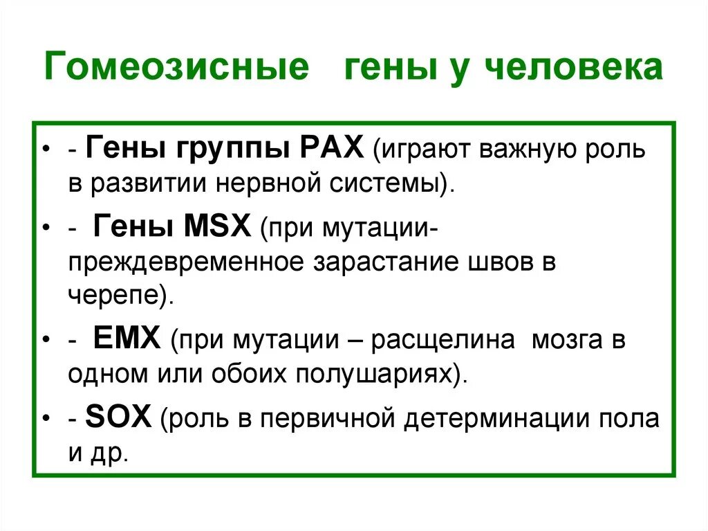 Гомеозисные гены. Мутации гомеозисных генов у человека. Гомеозисные гены их роль в эволюции. Гомеозисные гены у человека примеры.