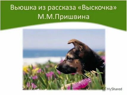 Богач выскочка сканворд