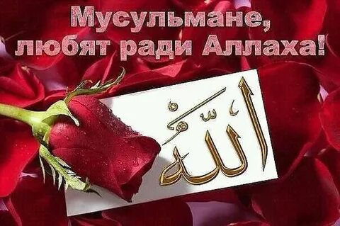 Пожелание мусульманину