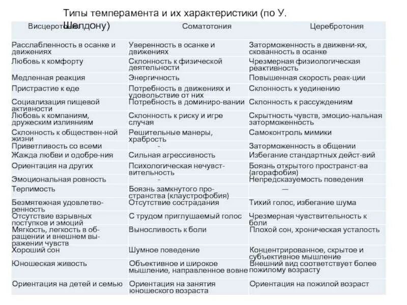 Какие темпераменты совместимы и почему