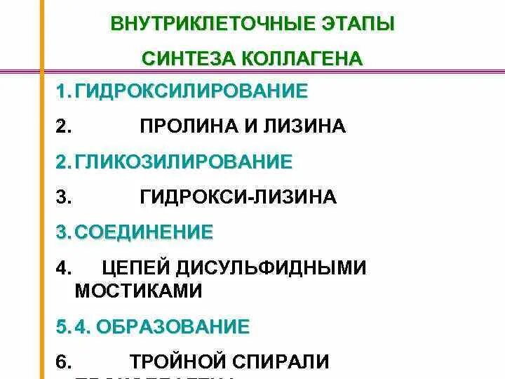 Синтезируют коллаген. Схема этапов синтеза коллагена. Синтез и созревание коллагена схема. Внутриклеточный этап синтеза коллагена. Синтез коллагена схема.