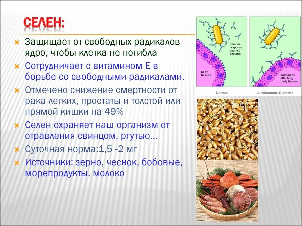 Макроэлемент селен. Селен в организме человека его роль и функции. Селен функции в организме человека.