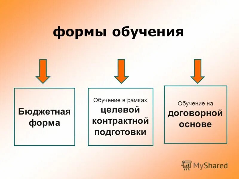 Бюджетное образование. Бюджетная форма обучения. Форма обучения бюджетная и договорная. Бюджетная и коммерческая форма обучения. Бюджет и коммерция это форма обучения.