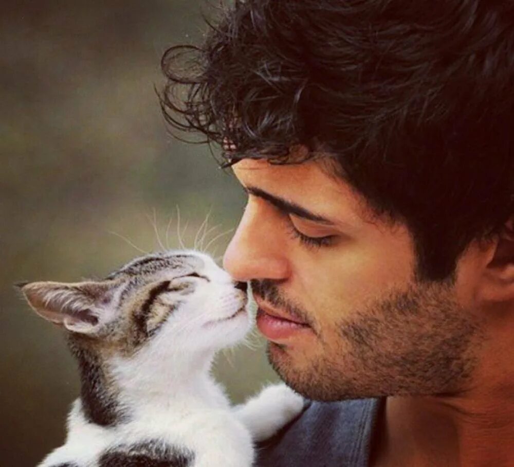 Коты и люди. Парень с кошкой. Йен сомерхолдер с котом. Парень с котенком. Фото кошки мужчины.