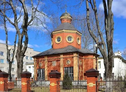 Донской тульская фото