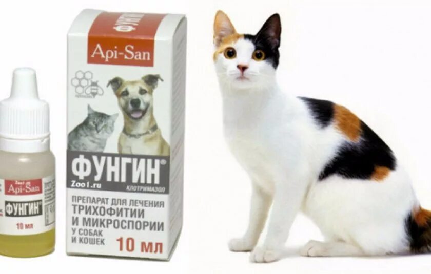 Средства лечения лишая у кошек. Фунгин мазь для собак. фунгин вет спрей. фунгин форте для кошек. мазь фунгин для кошек.