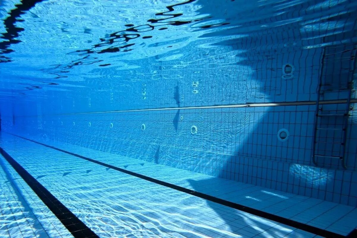 Мау олимп кингисепп бассейн. Аквапарк киев бровары. ) плавание. ) плавание. Бассейн олимп кингисепп.