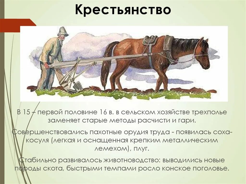 Крестьянство это. Соха что это такое в сельском хозяйстве. Сельское хозяйство Трехполье. Орудия труда крестьян России 16 века. Земледелие в России в начале 16 века.