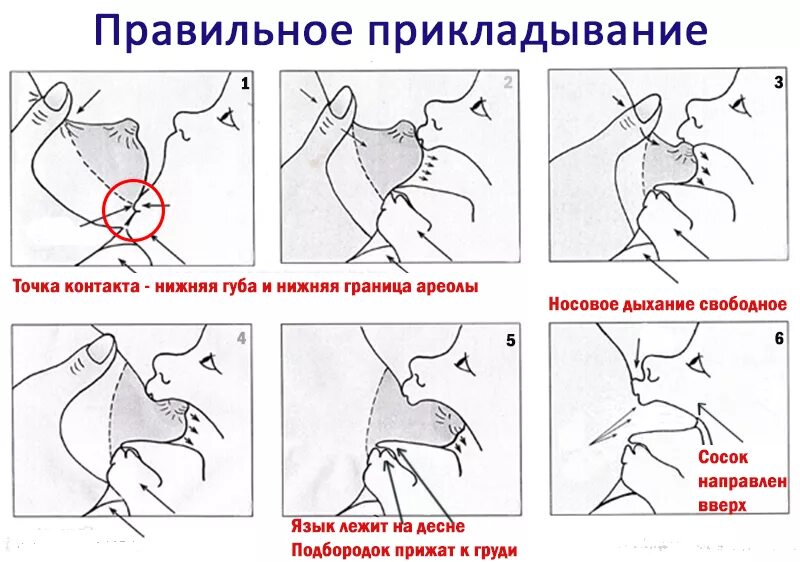 Техника прикладывания ребенка при грудном вскармливании. Как правильно приложить ребенка во время кормления к груди. Правильное прикладывание к груди схема. Правильный захват при грудном вскармливании новорожденного.