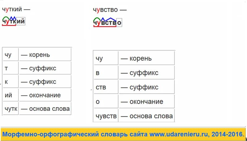 Чувство корень слова. Чувство разбор слова по составу. Разбор слова чевствовать. Пошел корень слова