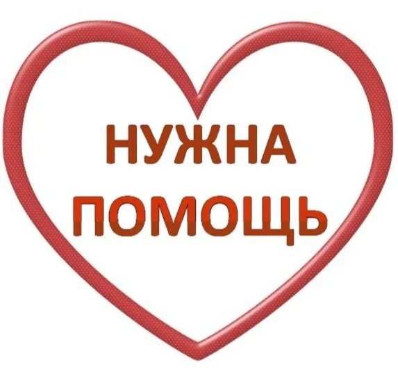 Вам нужна помощь. Нужна помощь. срочно нужна помощь. нужна помощь коту. котятам нужна помощь.