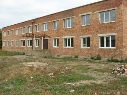 Погода в новоархангелке